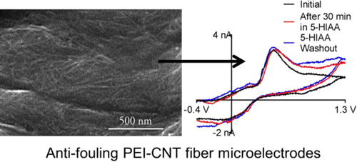 Anti-fouling PEI-CNT fiber microelectrodes