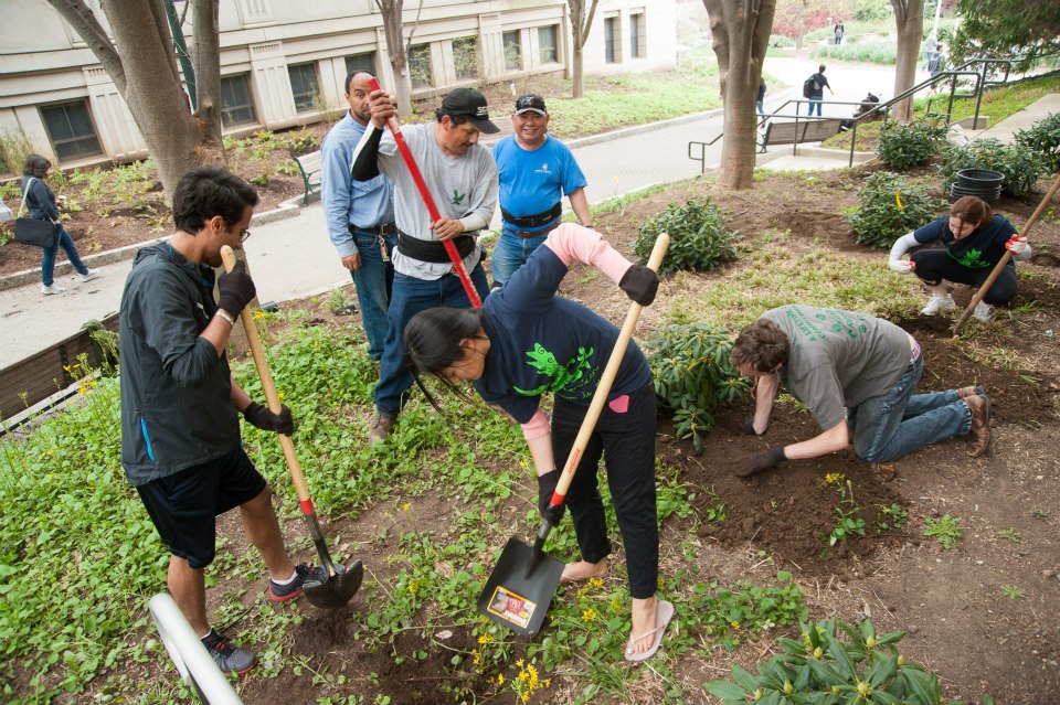 students helping plant trees