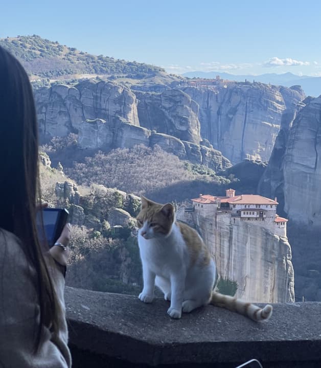 Meteora Cat