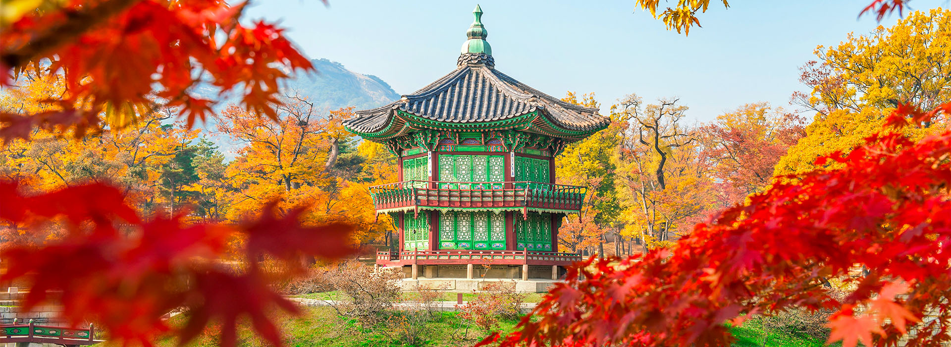 Gyeongbokgung Palace during autumn with bright red and yellow leaves surrounding the building